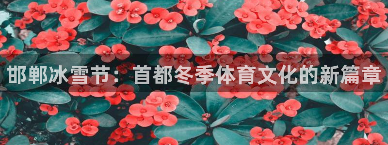 xc体育