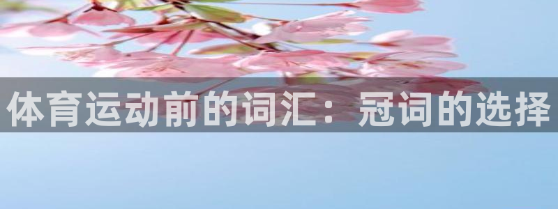 xc体育