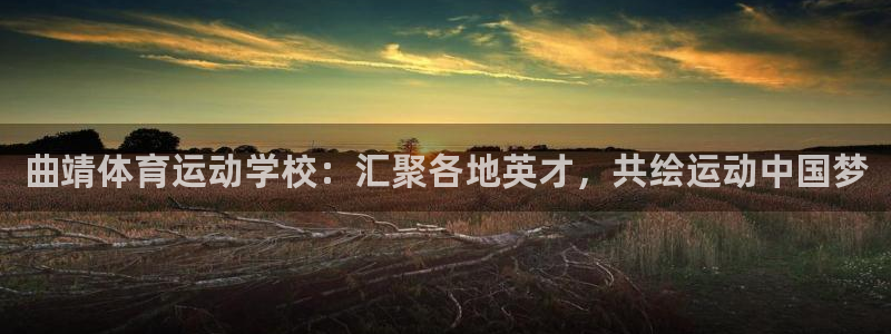 xc体育