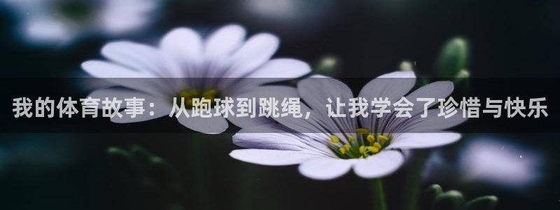 xc体育：我的体育故事：从跑球到跳绳，让我学会了珍惜与快乐
