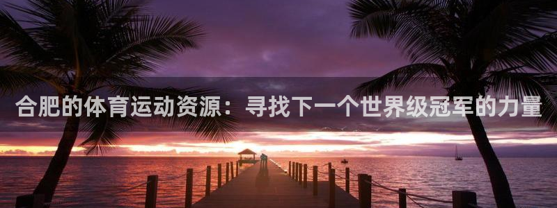 xc体育app官方网站：合肥的体育运动资源：寻找下一个世界级冠军的力量