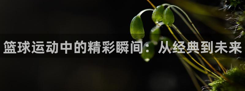 xc体育