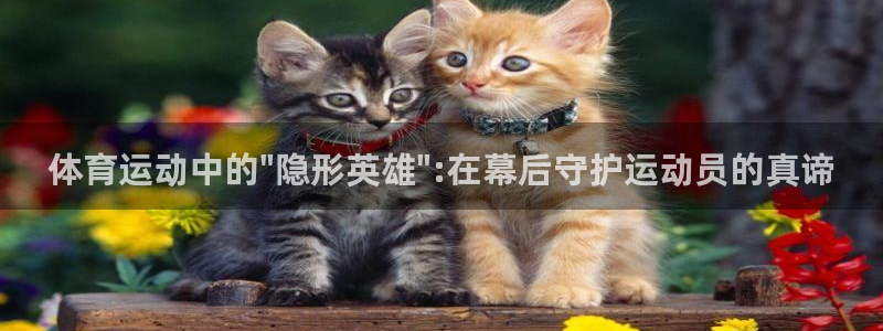 xc体育