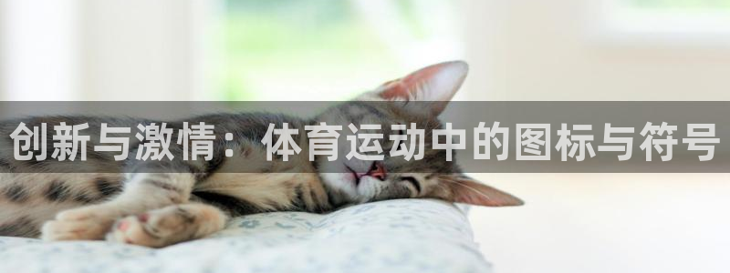 xc体育：创新与激情：体育运动中的图标与符号