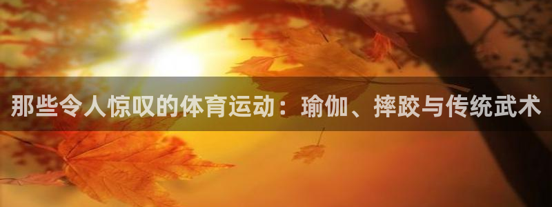xc体育：那些令人惊叹的体育运动：瑜伽、摔跤与传统武术