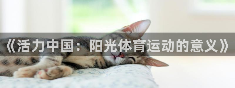xc体育app官方网站：《活力中国：阳光体育运动的意义》