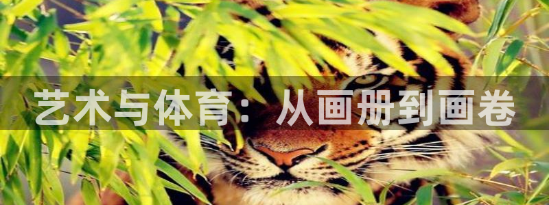 xc体育app官方网站：艺术与体育：从画册到画卷